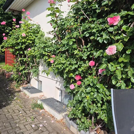 Apartment Nordlandgiebel Rosengarten (Lower-Saxony)
